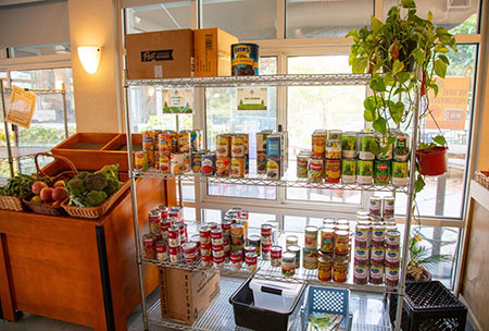 second-harvest-450-2.jpg